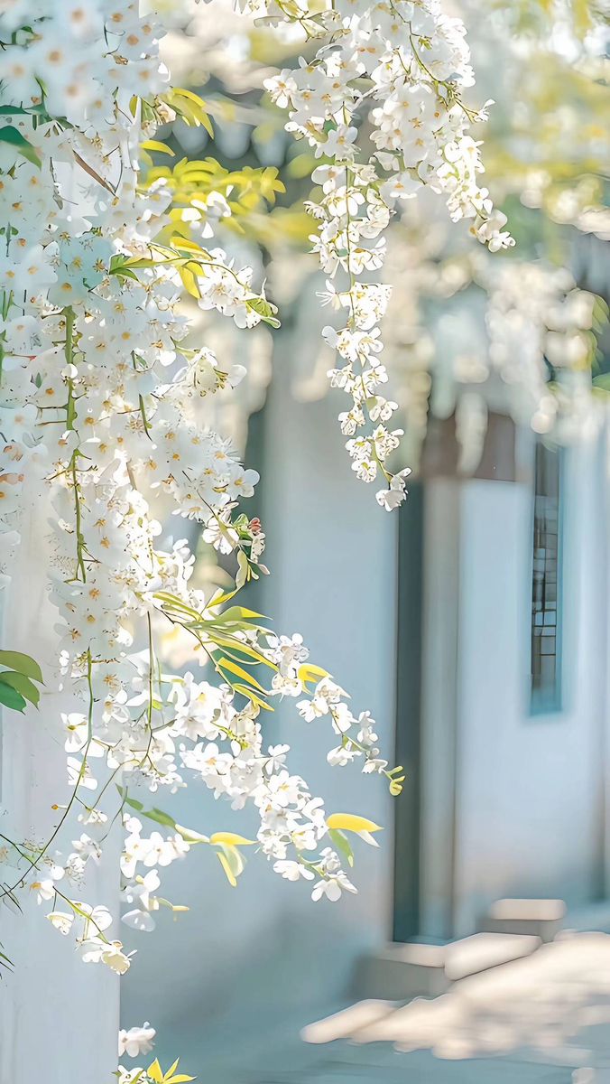 Bunga Custom – Chika Florist